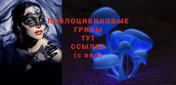 ешки Михайловск